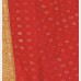 Cute’s Silk Georgette party Sharee with all over Rhine stone and golden metallic embroidery